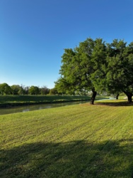 645432c0-2cd3-488f-b6fd-23b0e8bfc7c4