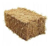 3d58769c-db8c-411c-8307-26eb13e1e096