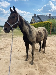 687b0e6b-bd2b-46fb-9c3d-e0e5a2f31e7c