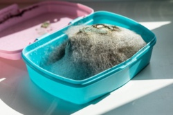 e3da3924-bb74-404c-8a96-65a67e6ecd89