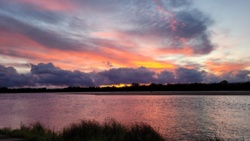 80dae05b-c646-4bad-a533-567d978db32d