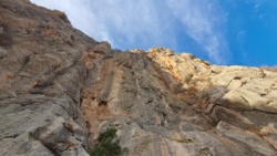 894f447d-1abe-4c81-8274-8e4d19d5a210