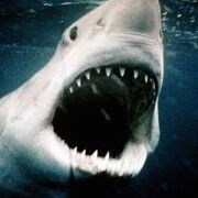 f4fd96b3-1277-4d4e-b399-3262559b0661