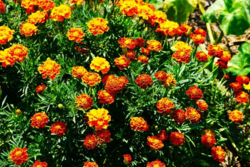 59bdecdf-f135-4283-9abe-82c282778107