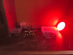 125d4fbf-be33-435d-815d-cb8fc82846d5