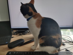 52c04ebc-5088-4986-93fe-43c306b08776