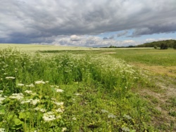 e1c853f1-5768-4751-8c45-e99eb026a0fc