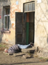 d06ee9bd-a72b-44ab-82f1-3de7653a40a0