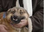 9ac542f3-cd07-4cdc-b01a-b8d489efbec5