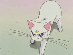 95af8b04-1467-4b9e-ab25-c74fbb7cb81c