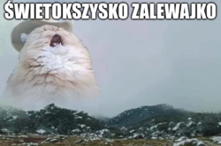 cbc03283-9ab4-4d0b-ab41-df4eaad02811