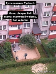 cee7df52-9311-4bd8-af68-b6189d880770