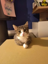 6d4a020d-6290-4f93-90a5-b19b80caab2a