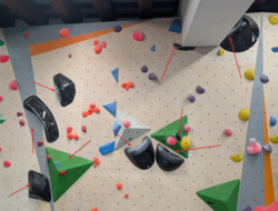 3a5246bd-7af8-498a-9eb7-8edf90b052b9