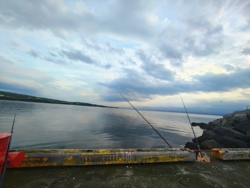 c263cdf3-147a-4e3e-8e3b-02e98317cf3b