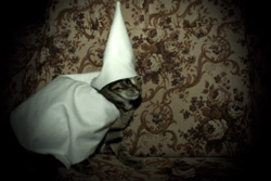 fa8290c8-2f14-464b-a717-8603259e8fda