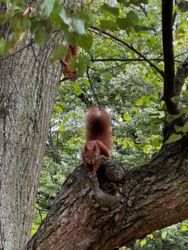 3e20a0b5-456f-432a-8085-083132c0aafb