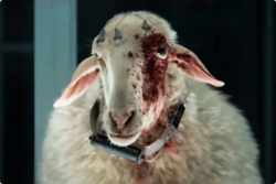 f7422fef-b37c-4401-8e85-bd18ad7bf2f2