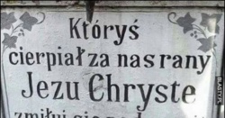 a81fe375-bdf2-411e-9f49-8fb0b1252520