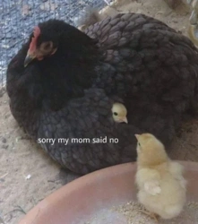 4822d717-946e-4484-90d8-062e7b3bc714