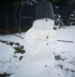 72d4247d-fba4-4b99-9258-7e928c9ee321