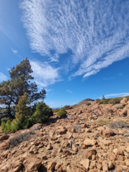 6152609f-42a0-44cc-8c37-32dcc2dd6986