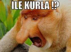 f5212194-4a83-4d71-abd4-8417750802cd