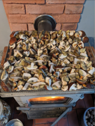 2ab15ad4-6925-43d9-8a61-aacd46f67e1b