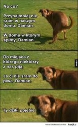 7707cdb4-014e-4a36-a0f0-9a8375a2d877