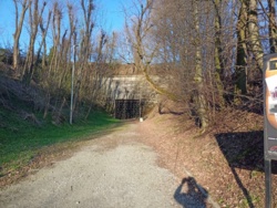 e81319e1-8bdb-41bd-a362-05ab41692237