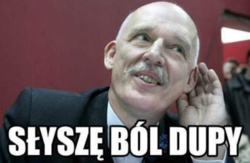 d5cd8d51-dc42-4dc3-8dd3-44ce1a127bab