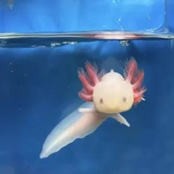 9a66ec1f-bafd-4c00-beaa-881f9fa5b7dd