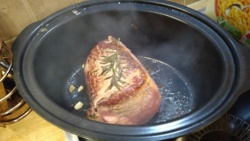 955e0c87-87f4-4a3a-88d4-a335326b34cd