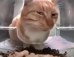 b009c8fc-711e-40b6-ba90-9bf42e5395e3