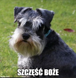 259a5634-4e35-4451-a95f-a4bd949f478d