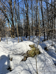 d6572a6c-f6a9-4bbc-96d5-d4cb5f17595e