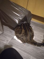 d4bed2ac-5218-47c6-ade3-23af1b51b3c4