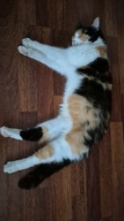 c7dd3e99-5c2f-43ea-a244-b6ec816c0b90