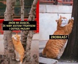 80d2af3d-5315-4132-b352-766fc0423eae