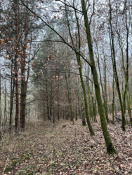 7e6be3f4-8641-456a-ab2c-9c8221addb9e