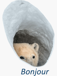 8680be7c-6c1c-411c-bb6c-02287dad7898