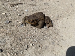 cd2303e4-69c7-4e17-81b6-9c4ee76210fd