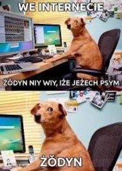 247bc42b-b029-47eb-88e4-31487c35f732