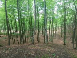 9be6522f-cac6-41f7-ba38-762c3ae8c2b6