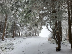 23b4d93e-8365-4aae-807a-48316b4d2d3c