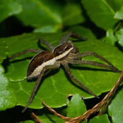 5cd0f68c-e1cf-4564-9805-50ae4c5dc972