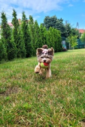 35d4ace8-a7eb-4cfc-a40f-ac789a7b804b