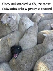 18f2260f-f1e6-4113-9d9f-92b4c7217dd1