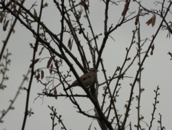 51791942-6353-40af-a72c-0ac1a2947498