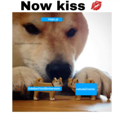 cae20c59-f2ab-41d6-a81e-769fbdc29477